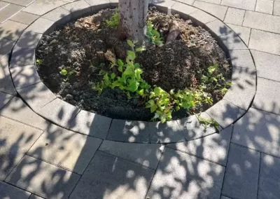 General Contracting Service